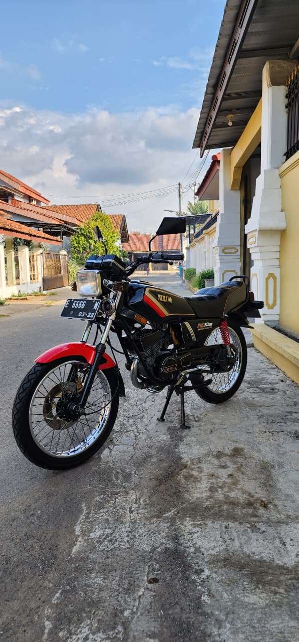 RX-KING COBRA 