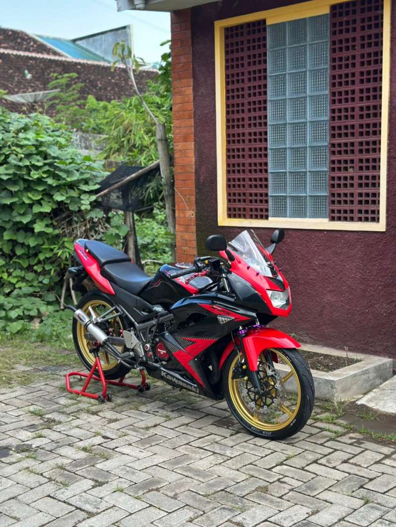 NINJA RR NEW