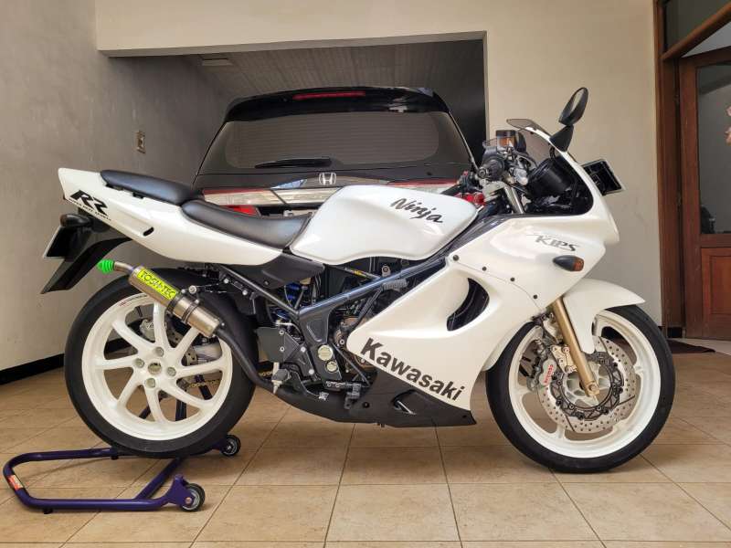 Ninja 150 RR Albino